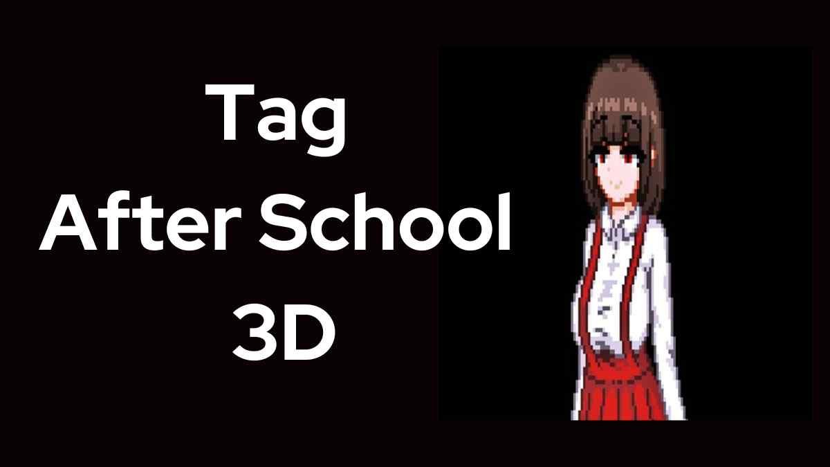 Tag After School 3D Mod Hints